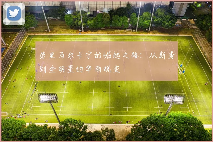 劳里马尔卡宁的崛起之路：从新秀到全明星的华丽蜕变