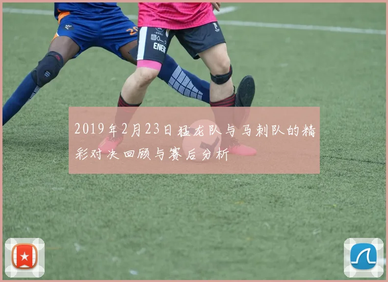 2019年2月23日猛龙队与马刺队的精彩对决回顾与赛后分析