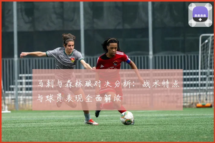 马刺与森林狼对决分析：战术特点与球员表现全面解读