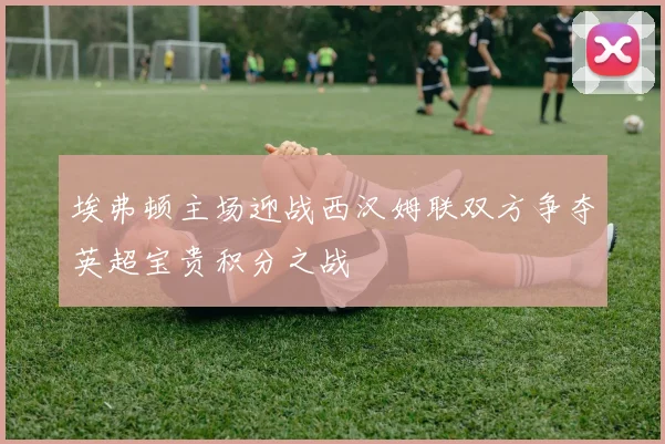 埃弗顿主场迎战西汉姆联双方争夺英超宝贵积分之战