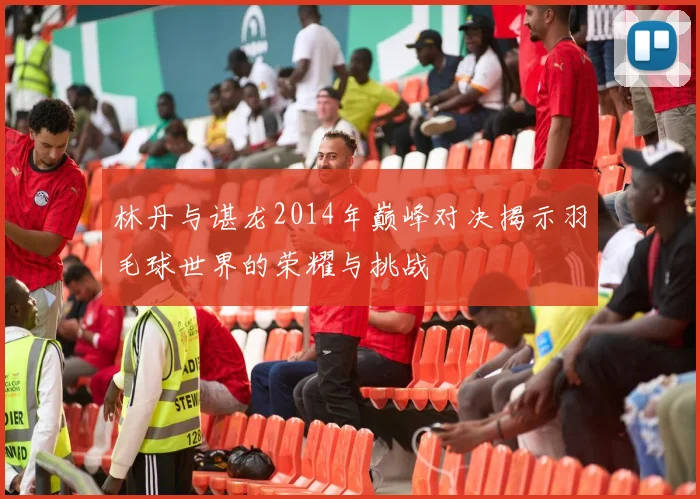 林丹与谌龙2014年巅峰对决揭示羽毛球世界的荣耀与挑战