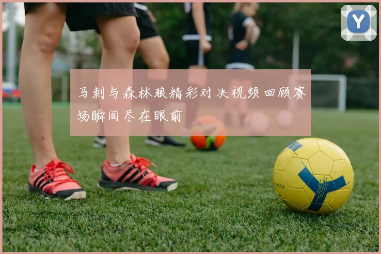 马刺与森林狼精彩对决视频回顾赛场瞬间尽在眼前