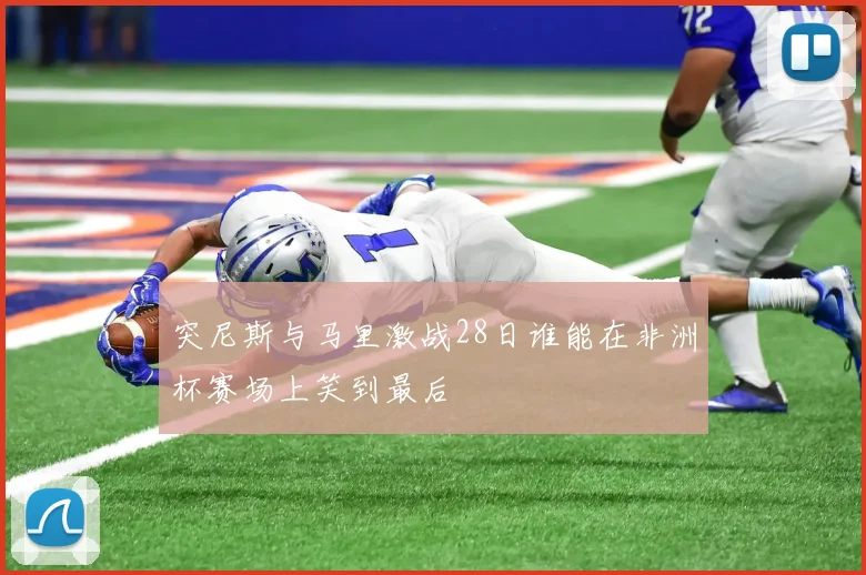 突尼斯与马里激战28日谁能在非洲杯赛场上笑到最后