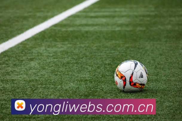 永利娱乐全站App